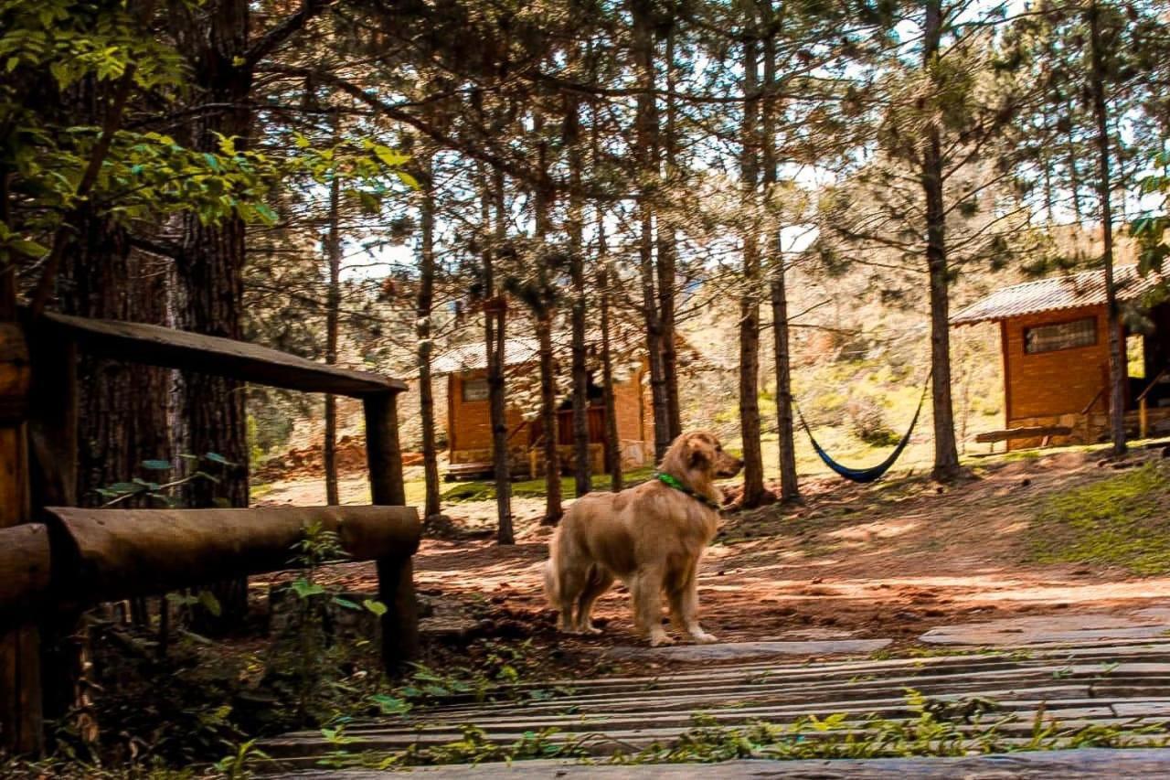 Chales Sitio Do Tanque Conceição da Ibitipoca Dış mekan fotoğraf